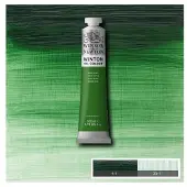 Winsor & Newton Winton olieverf 637 terre verte (200ml)