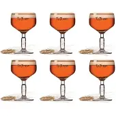 Barlife Bierglazen Bokaal - 250 ml - 6 stuks