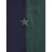 Vertbaudet Set van 2 sterren-maillots van polyamide meisje groen