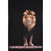 Noach Outdoor Canvas schilderij Lion