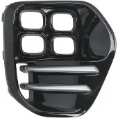 BLIC 6502-07-3296916P Ventilatiegrille, bumper