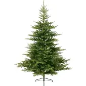 Everlands Grandis Fir kunstkerstboom groen H210 cm D145 cm