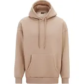Cars Jeans Sweatshirt 'FERGAL' taupe