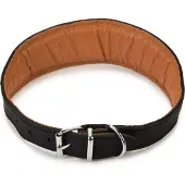Beeztees Rondo Windhond - Hondenhalsband - 42-50 cm x 50 mm