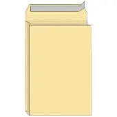 Quantore Envelop quantore monsterzak 262x371x38 170gr zk cr | Doos a 125 stuk