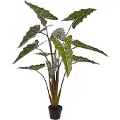 Maxifleur Kunstplanten Alocasia Sarian kunstplant 140cm