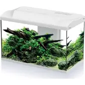 HS Aqua Aquarium Platy Bio 70 LED | 70L | 59 x 31 x 39 CM Wit Compleet