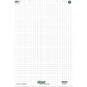 Ursus Green Flipoverblok Geruit 68 x 99 cm 20 80 g/m² 5 Stuks à 20 Vellen