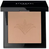Stendhal Compacte Perfectrice 120 Poeders