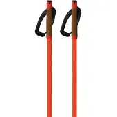 Fischer Storm Gtx M Stokken