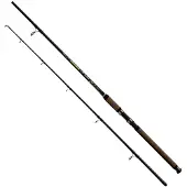 Wizard Phantom Catfish Rod Goud 2.40 m / 200-500 g