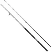 Abu Garcia Beast Pike Spinning Rod Zwart 2.54 m / 30-110 g