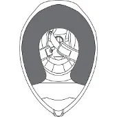 AGV Compact/numo St Wangkussentjes