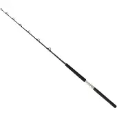 Daiwa Sealine X Slxtr5080agbf Trolling Rod Zilver 1.75 m / 100 Lbs