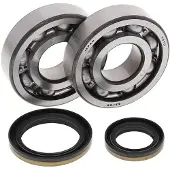 All Balls Suzuki Rm250 1996-2002 Krukaslager-en Afdichtingsset
