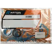 Artein J0000hn000306 Complete Pakkingset