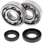 All Balls Honda Cr85r 2003-2007 Krukaslagerset