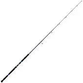 Xzoga Takadum-pi Spinning Rod Zilver 2.26 m / 250 g