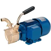 Liverani Ep40 Self-priming Pump 24v Zilver