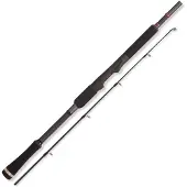 Herakles Huge Xx Catfish Rod Zilver 2.10 m / 10-60 g