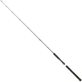 Daiwa Legalis Jigging Rod Zilver 1.96 m / 180 g