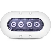Ocean Led X4 Led Light 9-32v Transparant