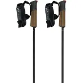 Fischer Gt 11 Carbon Mag Stokken