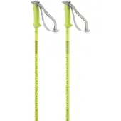 Salomon Polar Stokken