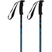 Elan Hot Rod Skistok Blue 110