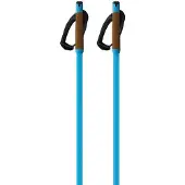Fischer Storm Gtx M Stokken