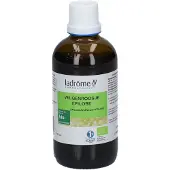 La Drome Kleinbloemig Wilgenroosje Bio | 100 ml