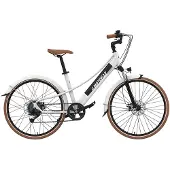 Emotorad Plymouth Elektrische Fiets