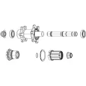 Zipp Asdop Voor Cognition Achternaaf Campagnolo N3w