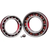 Zipp 61903 Ceramic Lagers