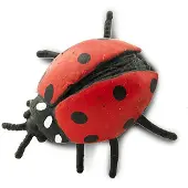 Safari Ltd Ladybugs Good Luck Minis Figure Rood From 3 Years Kinderen