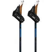 Swix Dynamic D2 Stokken Zwart 170 cm