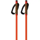 Fischer Storm Gtx L Stokken