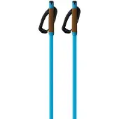 Fischer Storm Gtx L Stokken