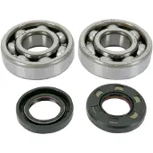Hotrods Yamaha 2005-2024 Yz125 Fantic Xe Krukaslager-en Afdichtingsset