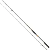 Daiwa Morethan Branzino Expert Ags Spinning Rod Goud 2.44 m / 14-42 g