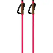 Fischer Storm Gtx L Stokken