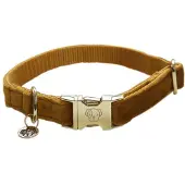 Kentucky Dogwear - Horsewear Dogwear Hondenhalsband Velvet - Mosterd M - 36-52cm - Hondenriem