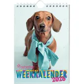 Interstat Rachael Hale weekkalender 2025