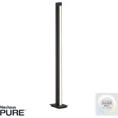 Pure Vloerlamp Pure-Lines Floor Graphite