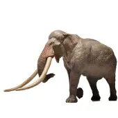 Eofauna Straight Tusked Elephant 1:35 Figure Bruin Kinderen