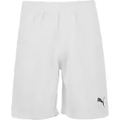 Puma Sportbroek 'TeamRise'