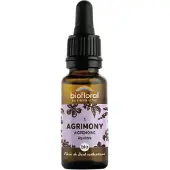 Biofloral Bachbloesems Nr. 2 Aspen | 20 ml