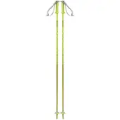 Salomon Polar Stokken