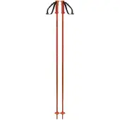 Salomon Polar Stokken