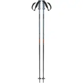 Salomon Polar Pro Stokken